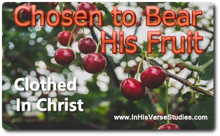 Chosen to Bear Christ’s Fruit Chosen to Bear Christ’s Fruit